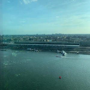AMS2021-118La vue depuis Amsterdam Tower