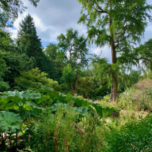 AMS2021-56Le Jardin Botanique d'Amsterdam