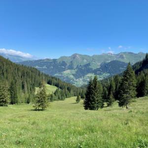 Arosa & Surroundings 2020