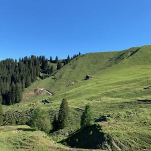 Arosa & Surroundings 2020