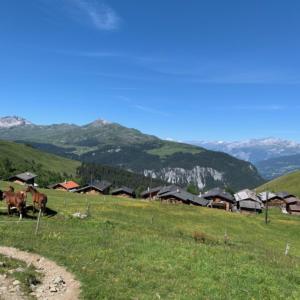 Arosa & Surroundings 2020